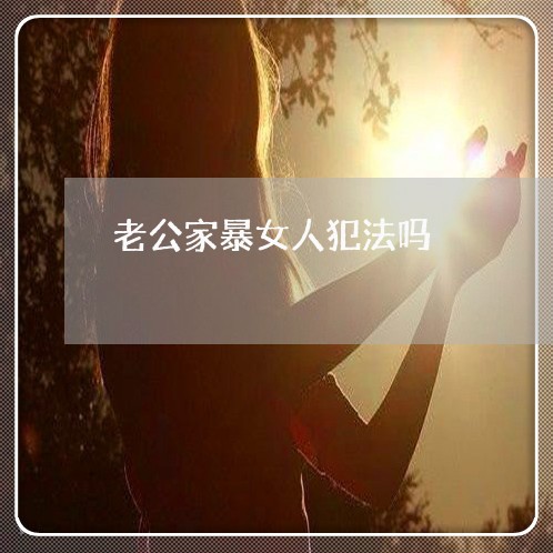 老公家暴女人犯法吗/2023110985724