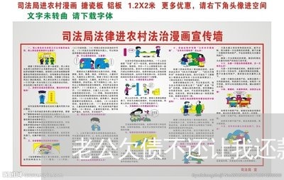 老公欠债不还让我还款/2023111705048