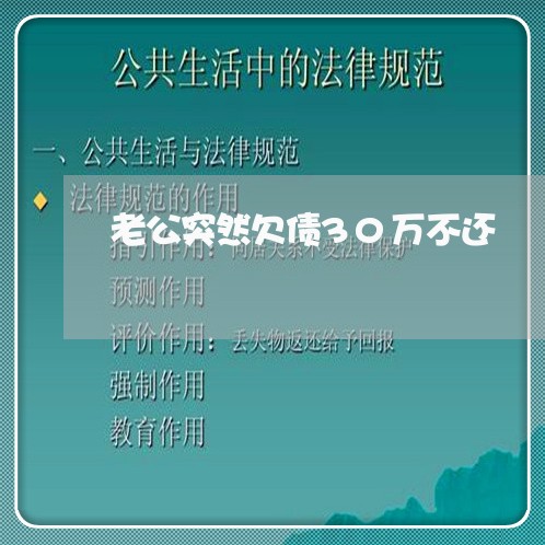 老公突然欠债30万不还/2023102483768