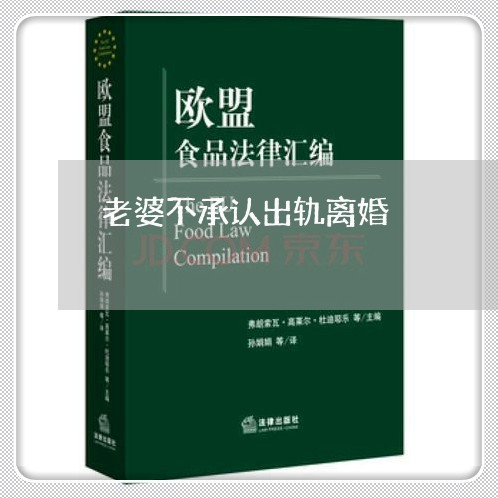 老婆不承认出轨离婚/2023110384824