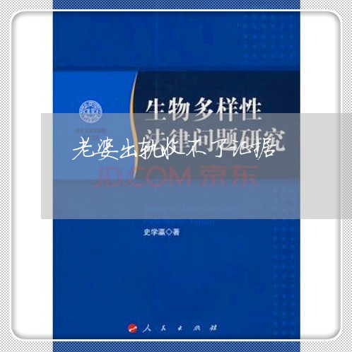 老婆出轨收不了证据/2023110630470