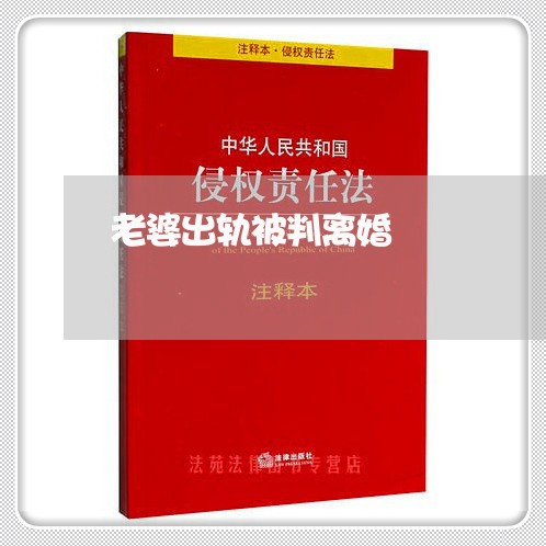 老婆出轨被判离婚/2023100239271