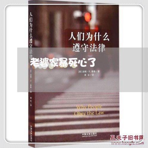 老婆家暴死心了/2023090963517