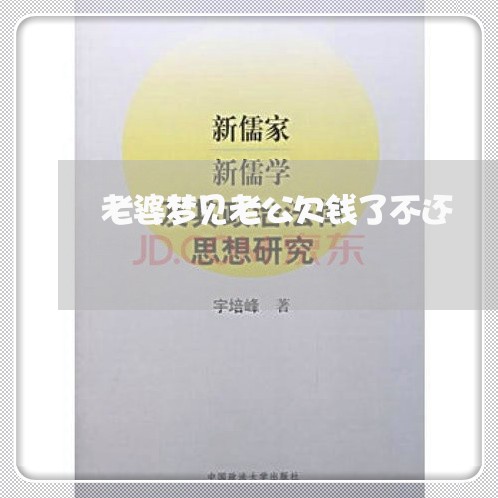 老婆梦见老公欠钱了不还/2023112605726