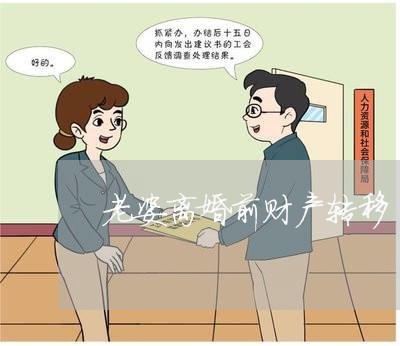 老婆离婚前财产转移/2023110973613