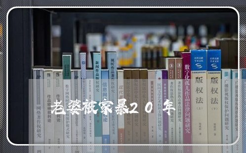 老婆被家暴20年/2023100627037