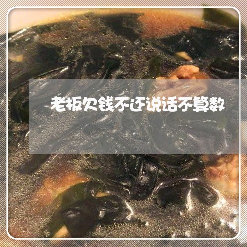 老板欠钱不还说话不算数/2023092926241