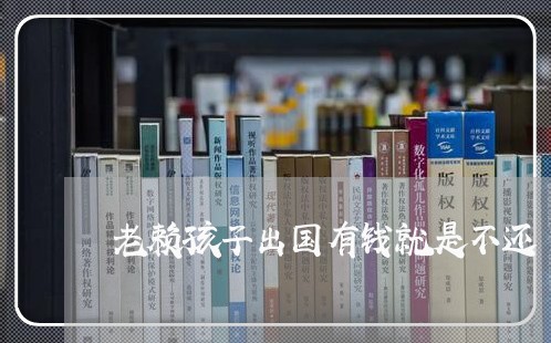 老赖孩子出国有钱就是不还/2023120516059