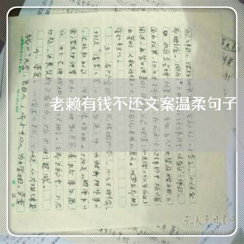 老赖有钱不还文案温柔句子/2023121020475