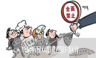 聚师网退费时间/2023042071693