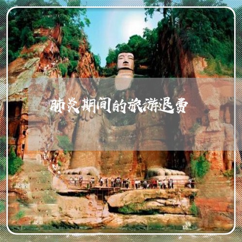 肺炎期间的旅游退费/2023061447359