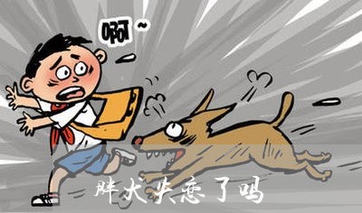 胖犬失恋了吗/2023120586846