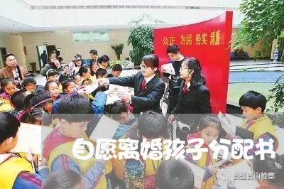 自愿离婚孩子分配书/2023110220381