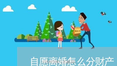 自愿离婚怎么分财产/2023110572806