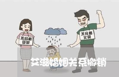 艾滋婚姻关系撤销/2023112594836