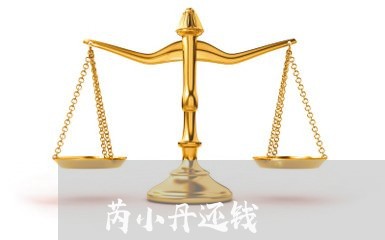 芮小丹还钱/2023121637572