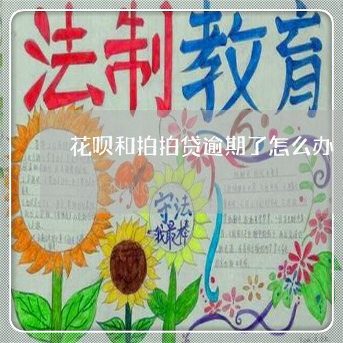 花呗和拍拍贷逾期了怎么办/2023061584937