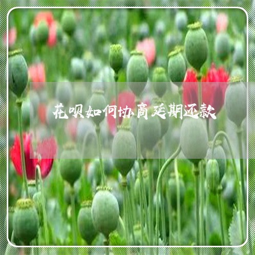 花呗如何协商延期还款/2023032558270