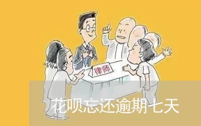 花呗忘还逾期七天/2023062721426