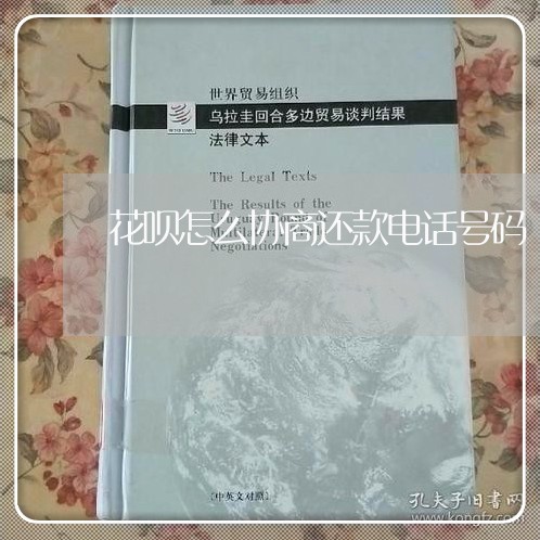 花呗怎么协商还款电话号码/2023100640360