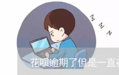 花呗逾期了但是一直在还/2023080116048