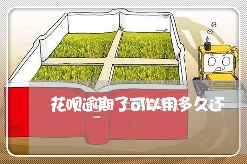 花呗逾期了可以用多久还/2023062437258