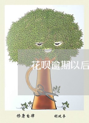 花呗逾期以后信用卡吗能用吗/2023071401624