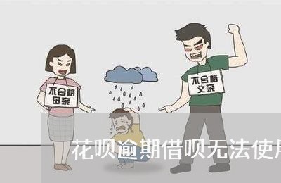 花呗逾期借呗无法使用了/2023061939584