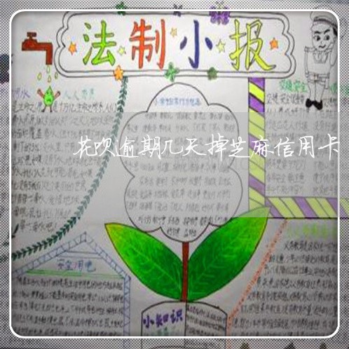 花呗逾期几天掉芝麻信用卡/2023121618171