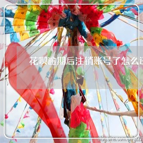 花呗逾期后注销账号了怎么还/2023071446169