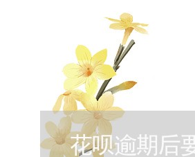 花呗逾期后要一次性还光/2023062318058