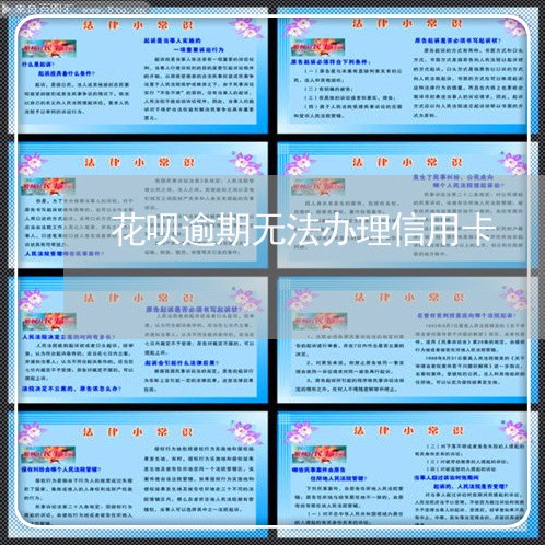 花呗逾期无法办理信用卡/2023052276268