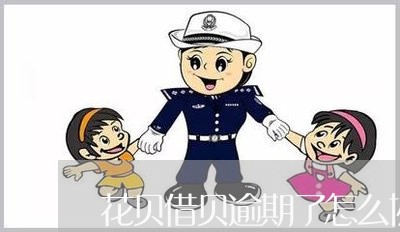 花贝借贝逾期了怎么协商还款/2023100754816