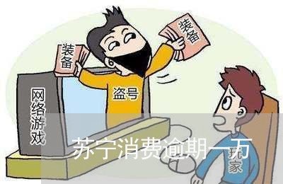 苏宁消费逾期一万/2023081298374