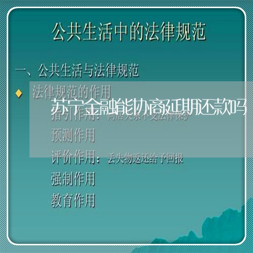 苏宁金融能协商延期还款吗/2023092539471