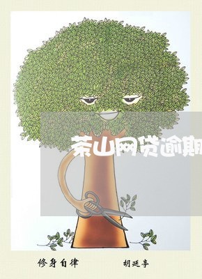 茶山网贷逾期如何处理的/2023110835837