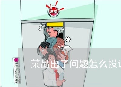 菜品出了问题怎么投诉商家/2023022291828