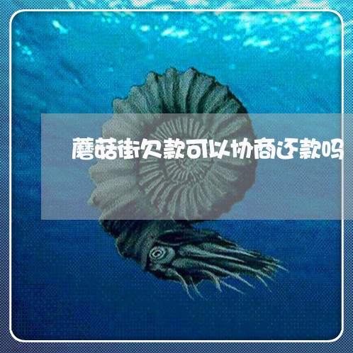 蘑菇街欠款可以协商还款吗/2023100507149