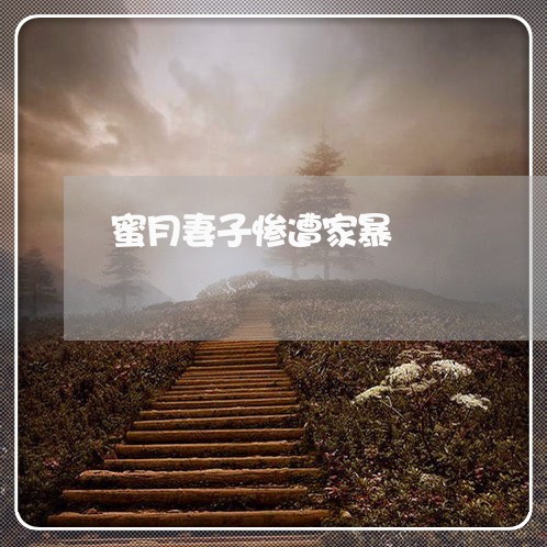 蜜月妻子惨遭家暴/2023100938263