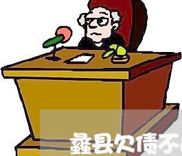 蠡县欠债不还抓人怎么抓/2023111717039