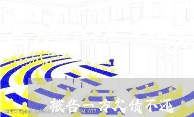 被告一方欠债不还/2023111828282