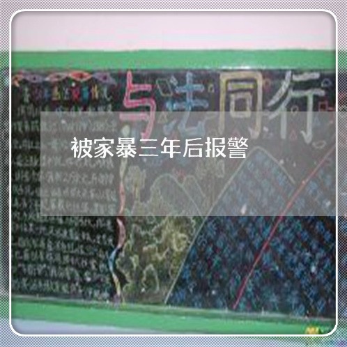 被家暴三年后报警/2023101526249