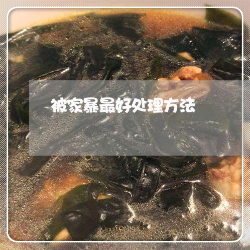 被家暴最好处理方法/2023110206148