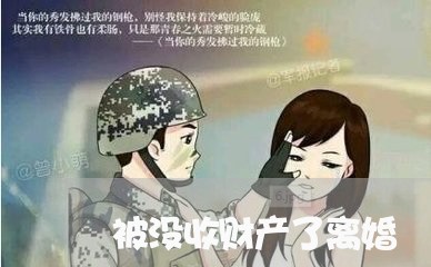 被没收财产了离婚/2023100105827