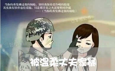 被温柔丈夫家暴/2023121903248