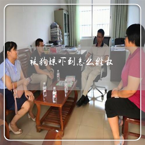 被狗惊吓到怎么维权/2023061229615