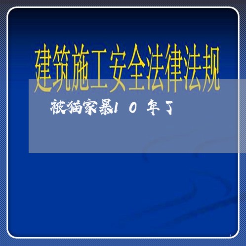 被猫家暴10年了/2023100639373