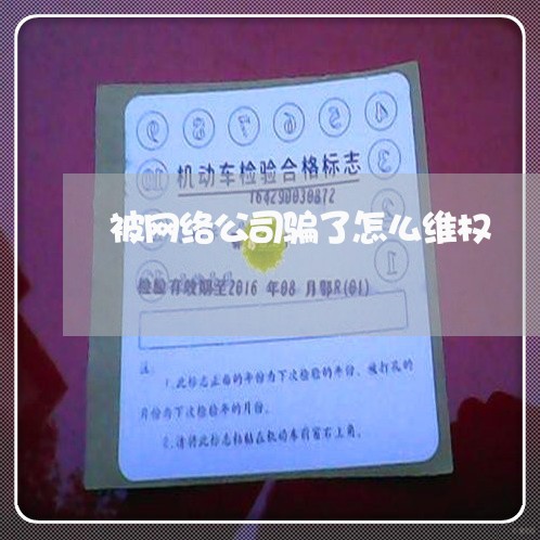 被网络公司骗了怎么维权/2023062487159