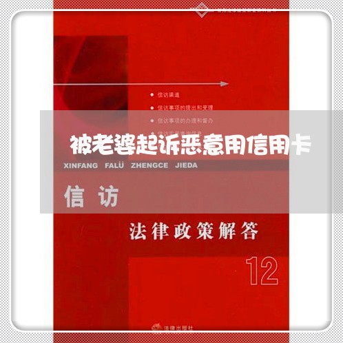 被老婆起诉恶意用信用卡/2023082969426