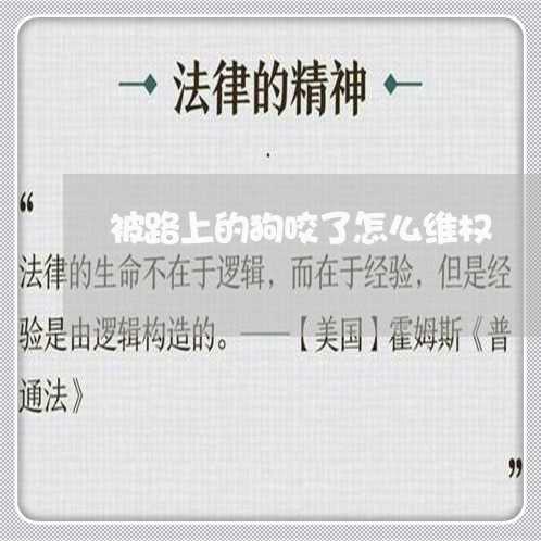 被路上的狗咬了怎么维权/2023052282716